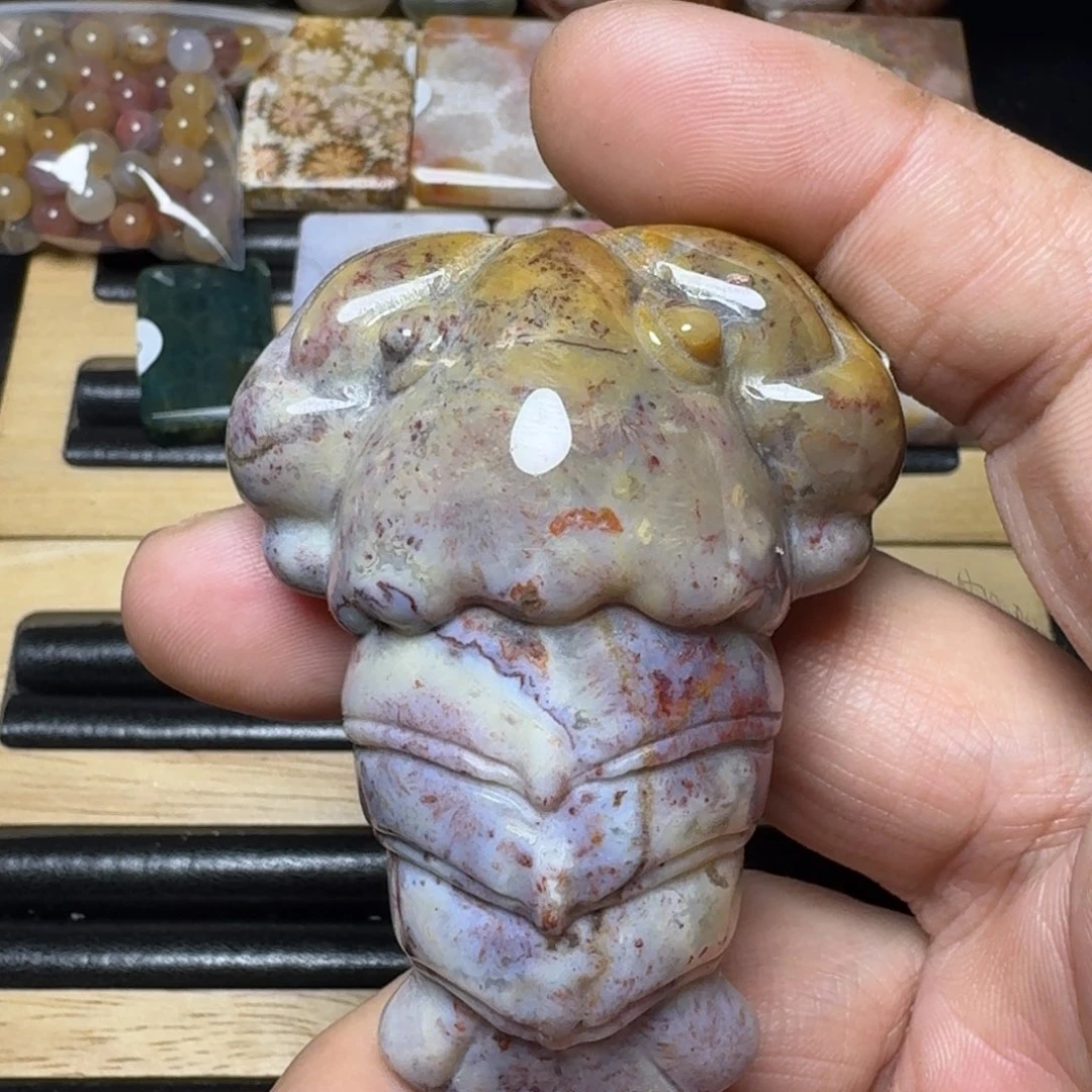 硅化珊瑚（珊瑚玉）纯天然色有机玉石未镶嵌
