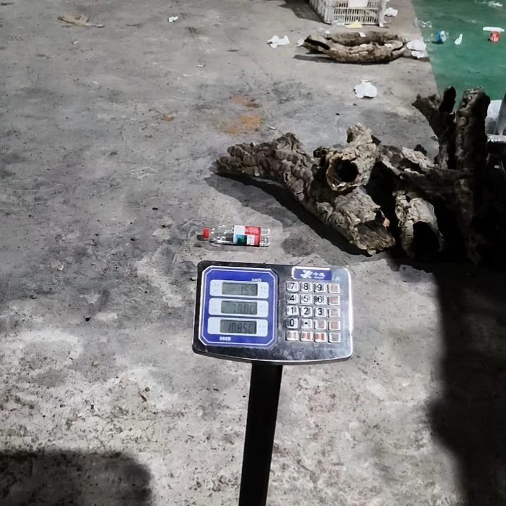 茶***家顺顺利利，平平安安
