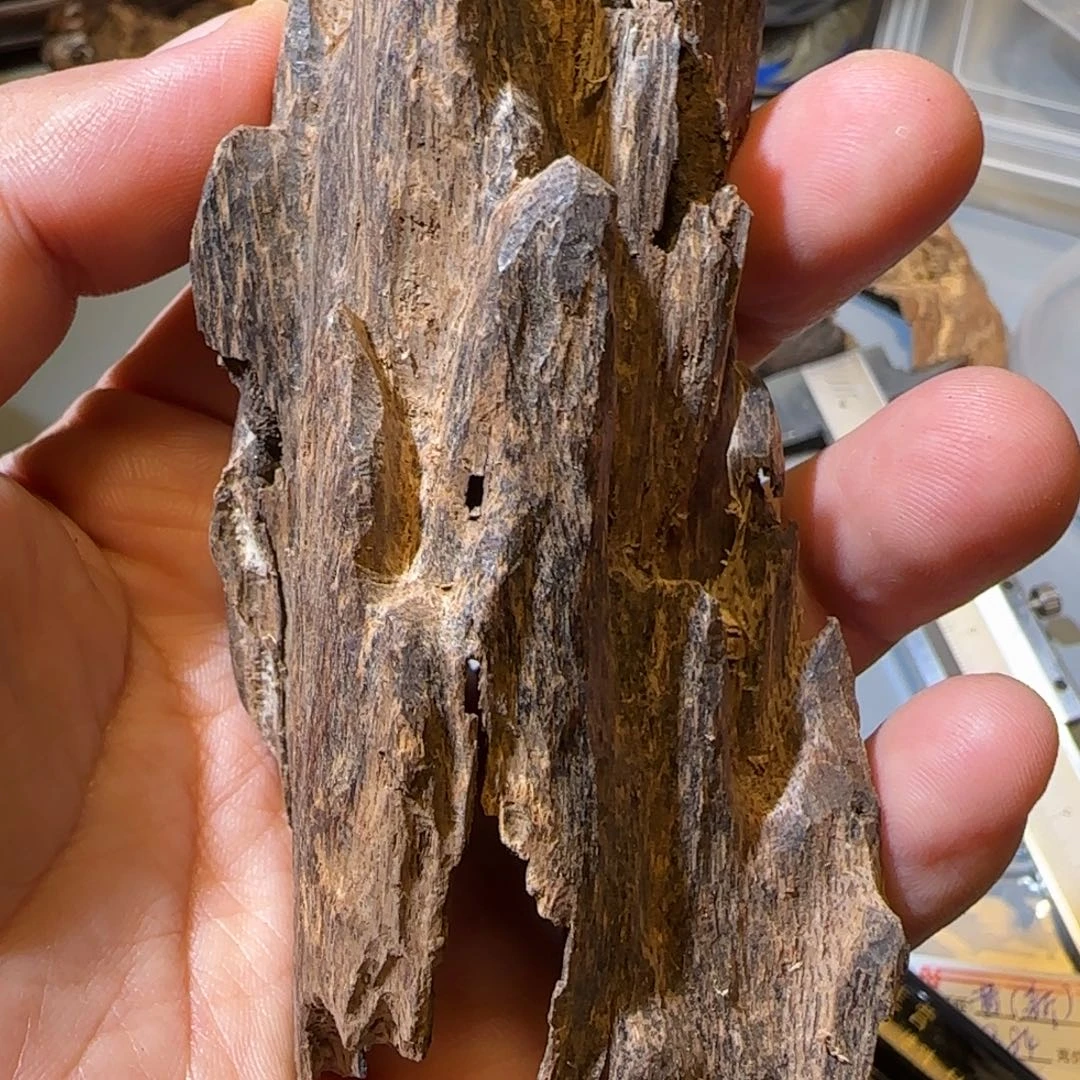 沉香沉香碎屑16.96克海南紫棋棋星99沉不退