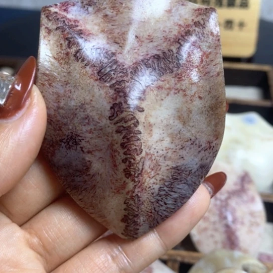 天***z鹿骨手串/手链养殖鹿鹿三界手把件