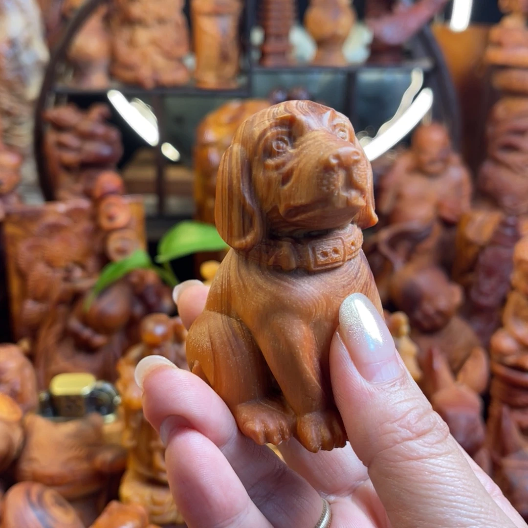 松木（琥珀木）其他小狗