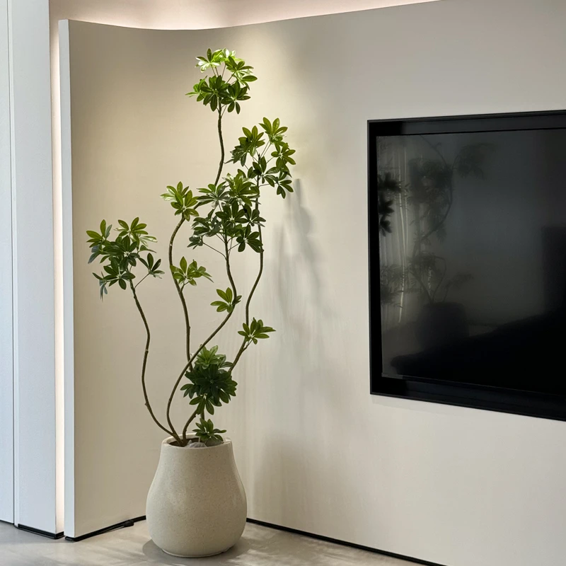 海虹景品鸭脚木仿真绿植高端轻奢客厅高档大型盆栽装饰室内植物单