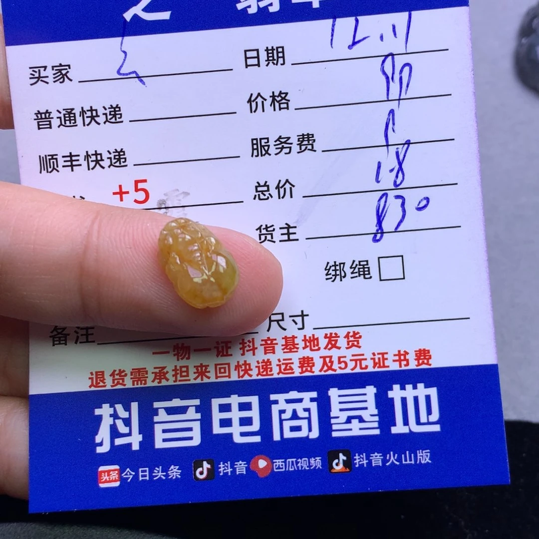 颈饰未镶嵌翡翠玄****G