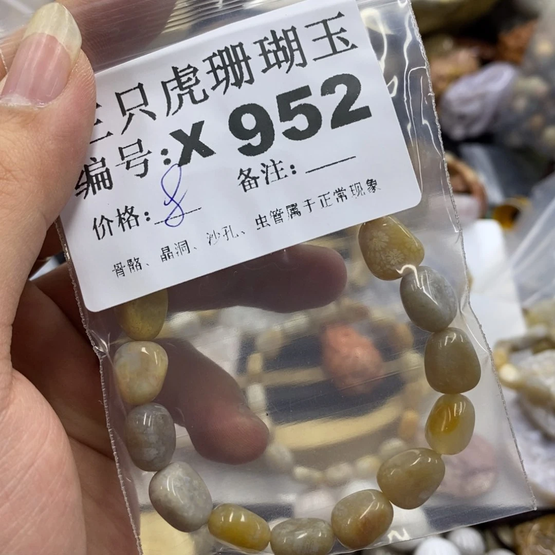 硅化珊瑚（珊瑚玉）X未镶嵌耀**/