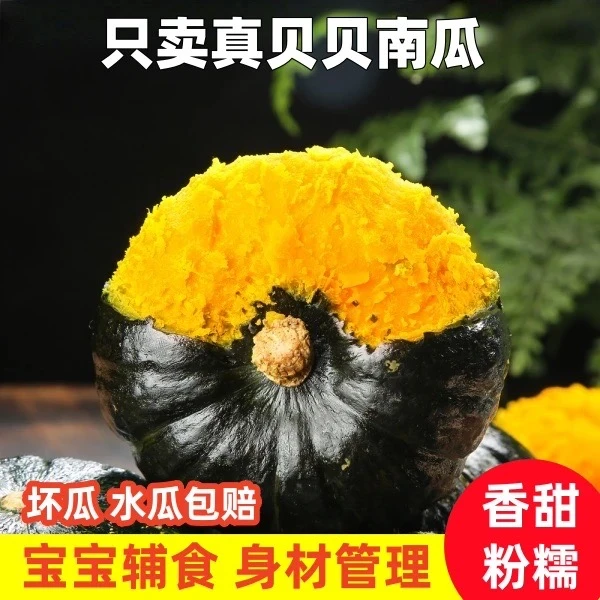 贝贝南瓜正宗板栗味南瓜辅食新鲜南瓜粉面甜