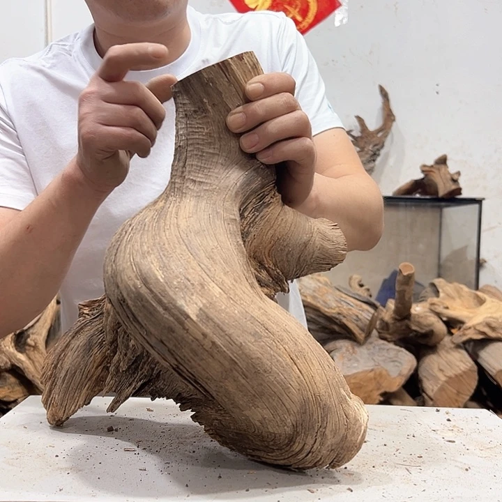 柏木石****园我们的生活是以自己为