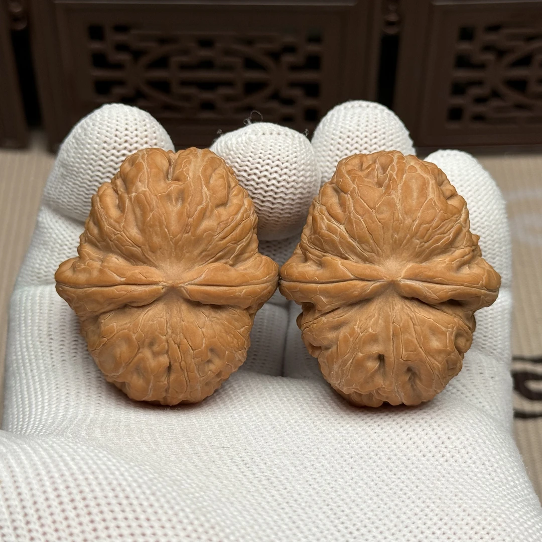 精选平谷元宝狮子头，边38肚44高34，老树原桩翘肩元宝一物一图全品