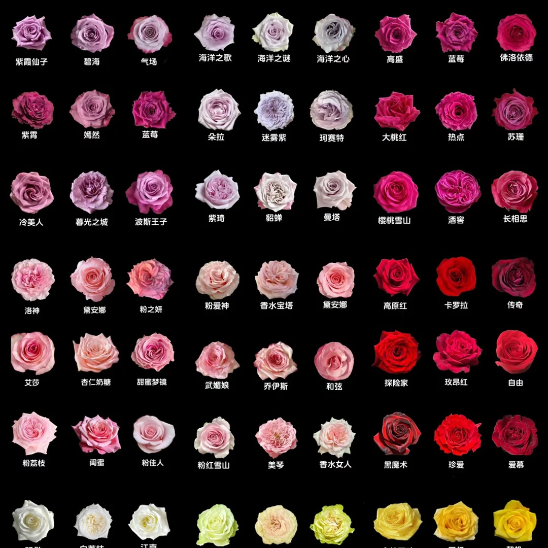 包邮链接  不参与拼单 云南鲜花基地直发 七夕好礼