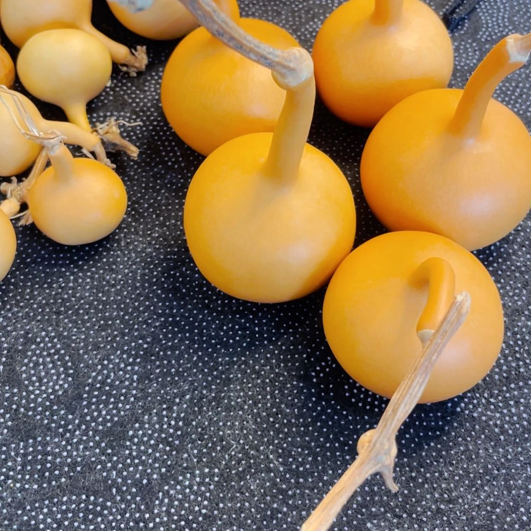 小*给欢欢欢欢欢欢欢欢