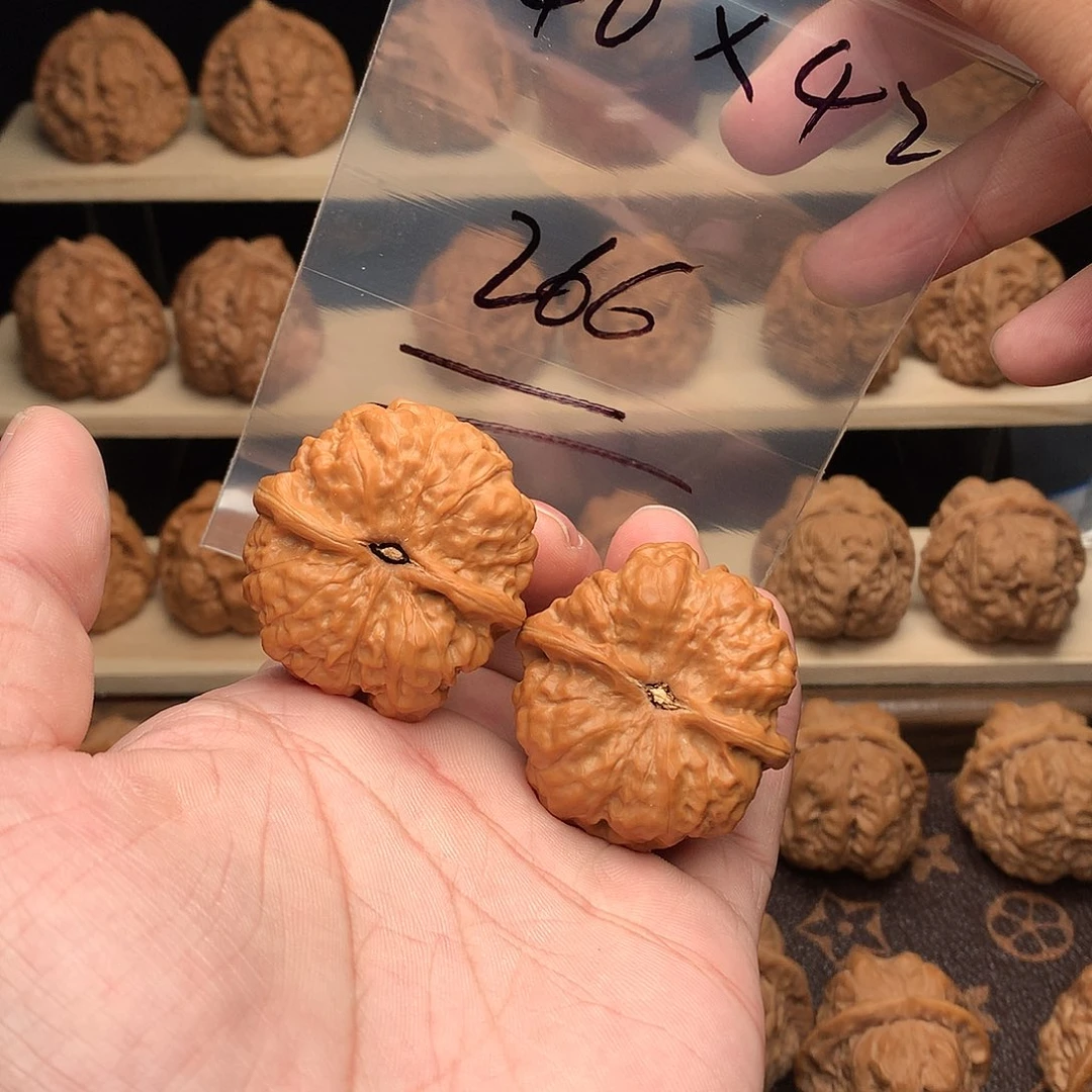 核桃蛤蟆头40边42肚