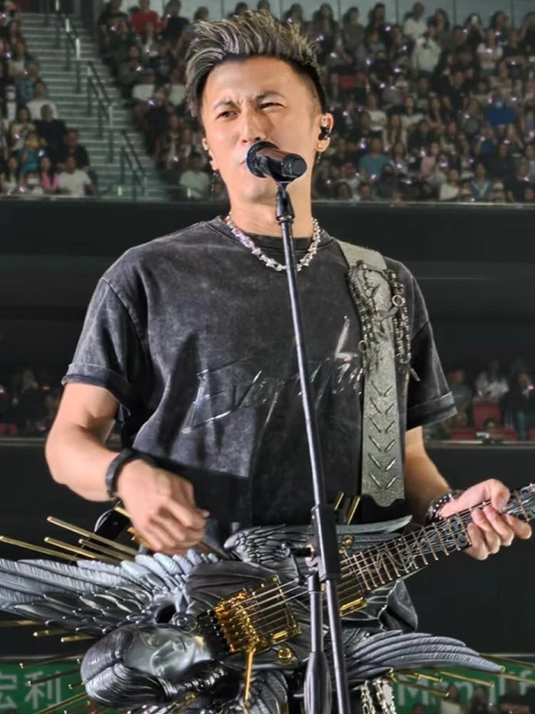 2025谢霆锋进化演唱会洗水纯棉手绘280克重磅水洗黑T恤休闲圆领