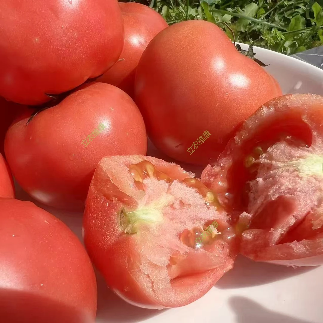 【自营】维康高山【口感型番茄】沙瓤多汁醇香味浓净重4斤/4盒新鲜
