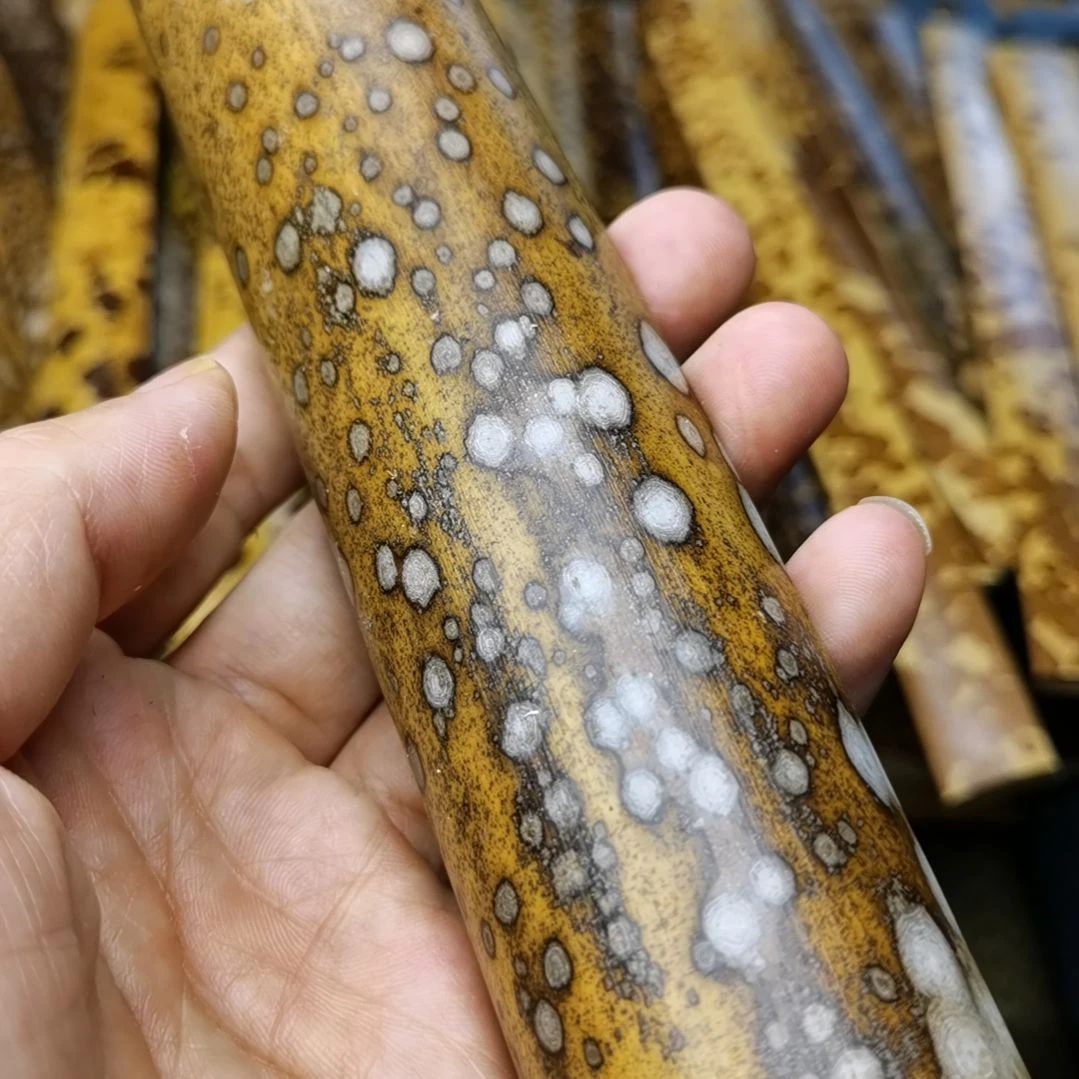 扇子腊底白花梅鹿茶则料