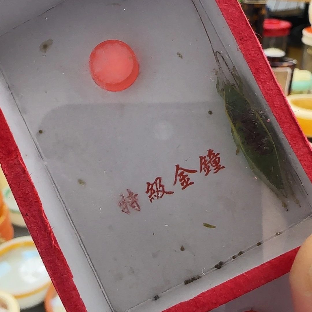 中长须绿金钟一只啊啊啊