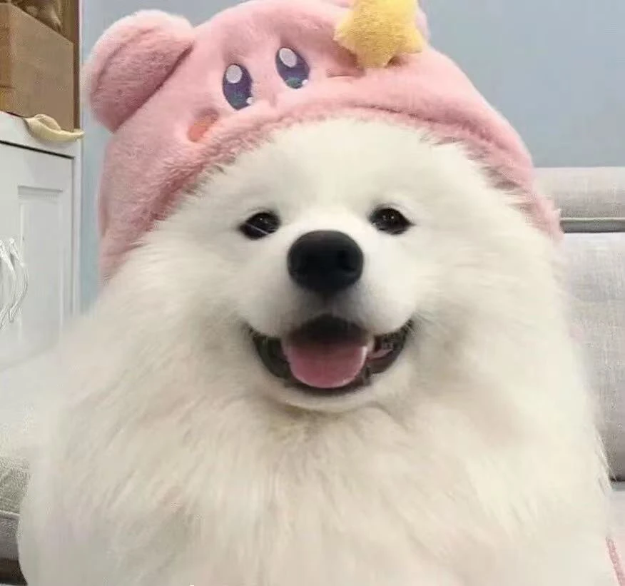 萨摩耶包➕驱虫➕疫苗本➕狗绳➕狗粮➕益生菌钙片