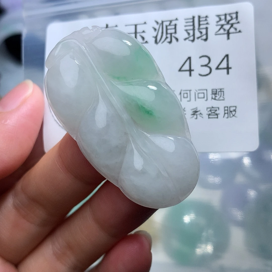 翡翠未镶嵌颈饰434