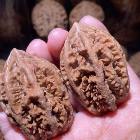 把件文玩核桃东北野生楸子小园 172