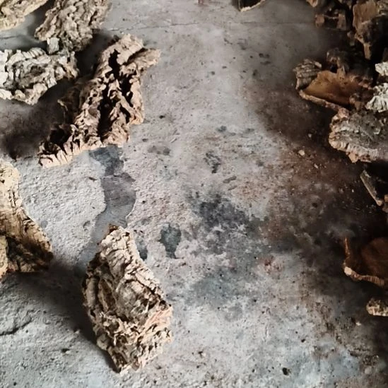 蔷****完全开放顺顺利利，平平安安