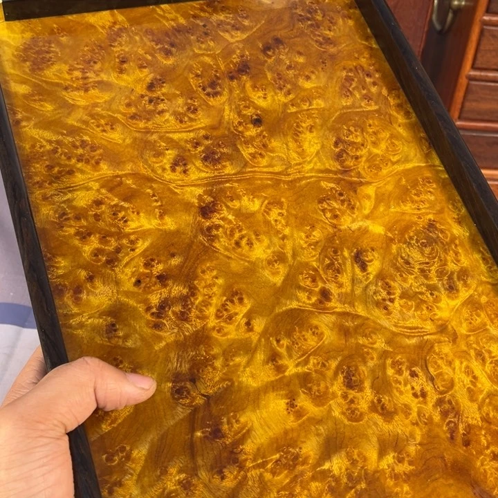 木黄金樟留疤超大托盘