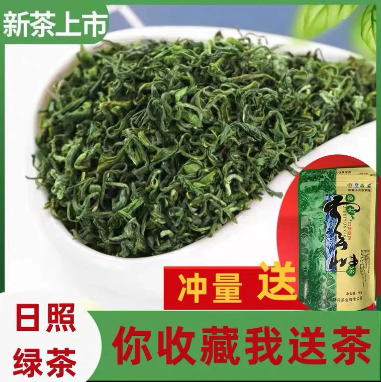 山东特产日照绿茶2025新茶口粮茶浓香型板栗香卖黄茶礼盒茶叶送礼