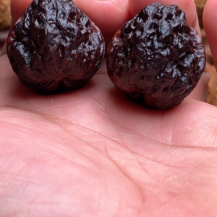 文玩核桃吊坠13小龙脊
