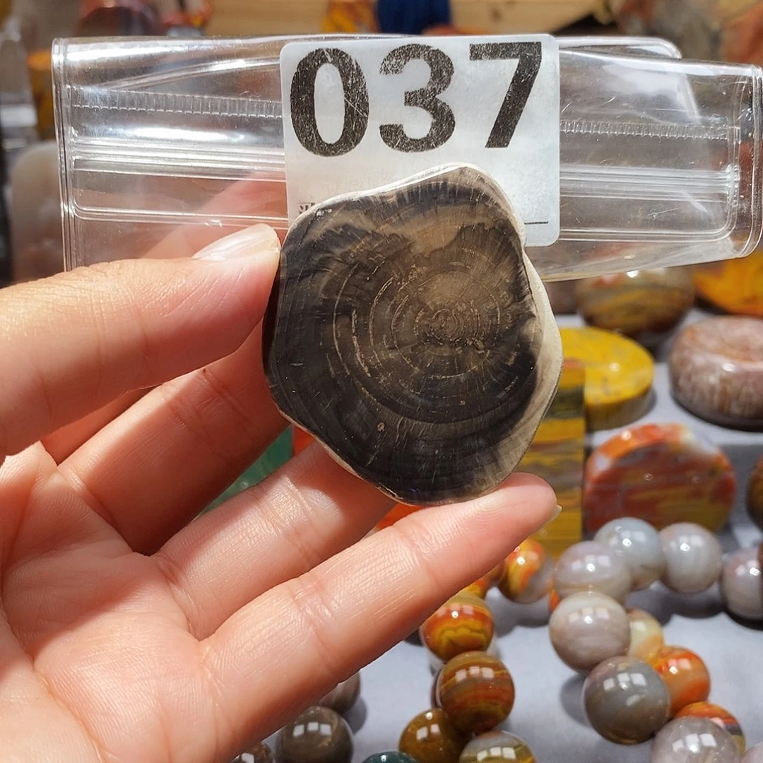 硅化玉天然北票硅化玉原石未镶嵌