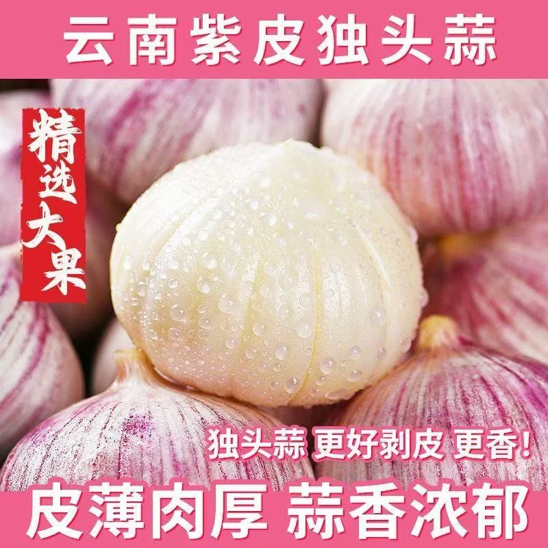 【超低价】新鲜紫皮独头蒜正宗云南饱满大蒜头0.5/1/2/3/5斤包邮
