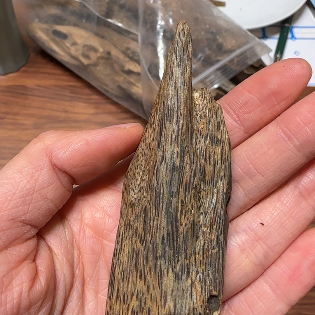 沉香沉香碎屑奇楠虫漏15克