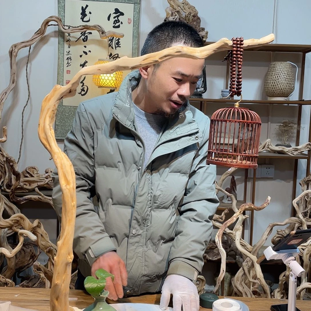 柏木杜鹃花开出美丽