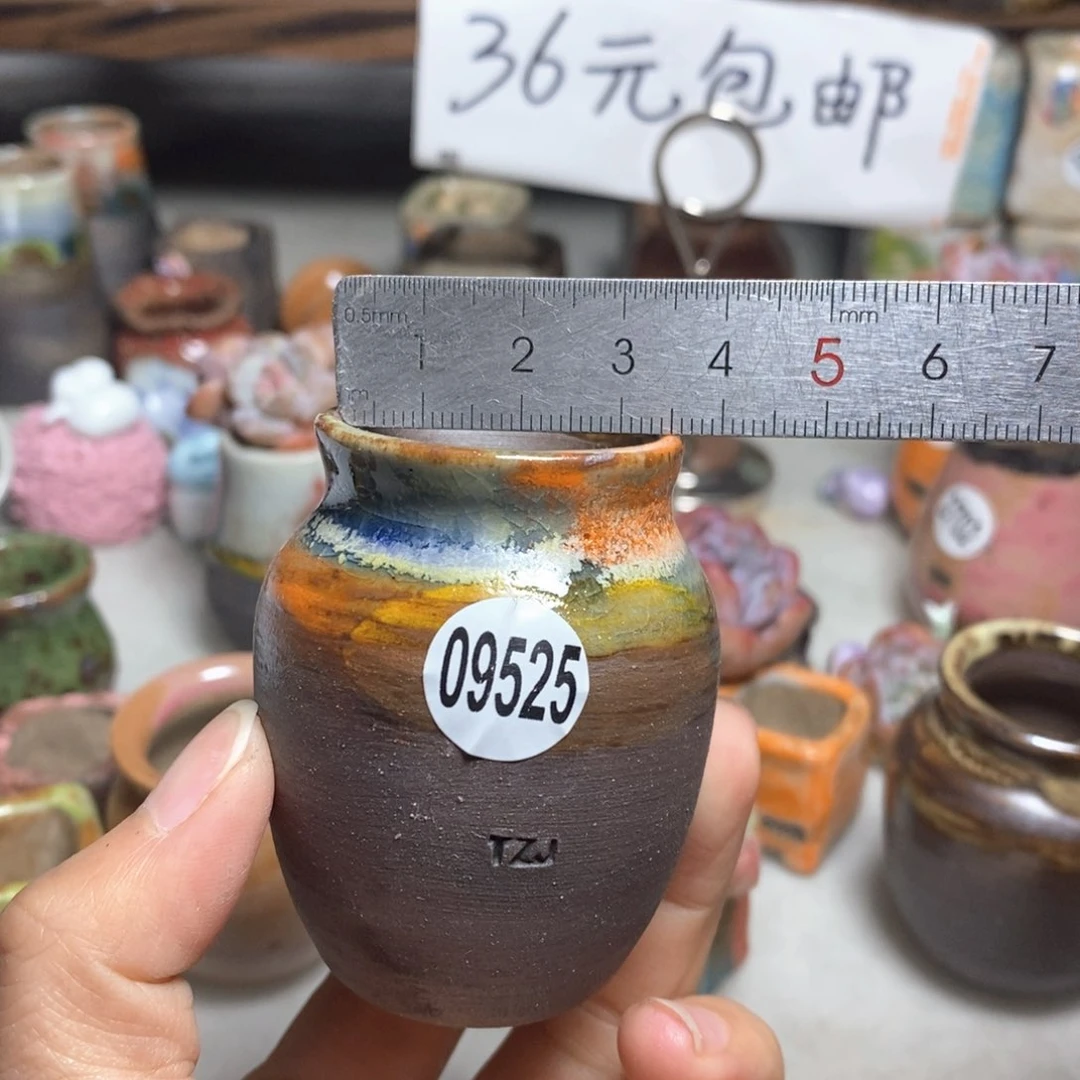 拍5送一个小礼物