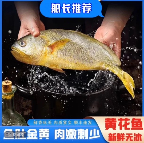 【船说海鲜】大黄花鱼海鲜水产大黄鱼新鲜批发整箱4条约1斤/条顺丰