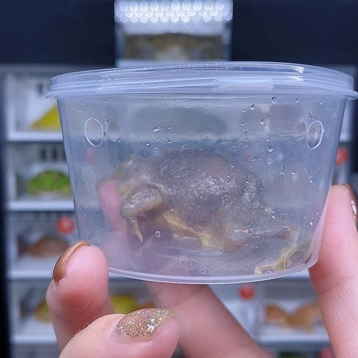 特价秒杀价比的价格