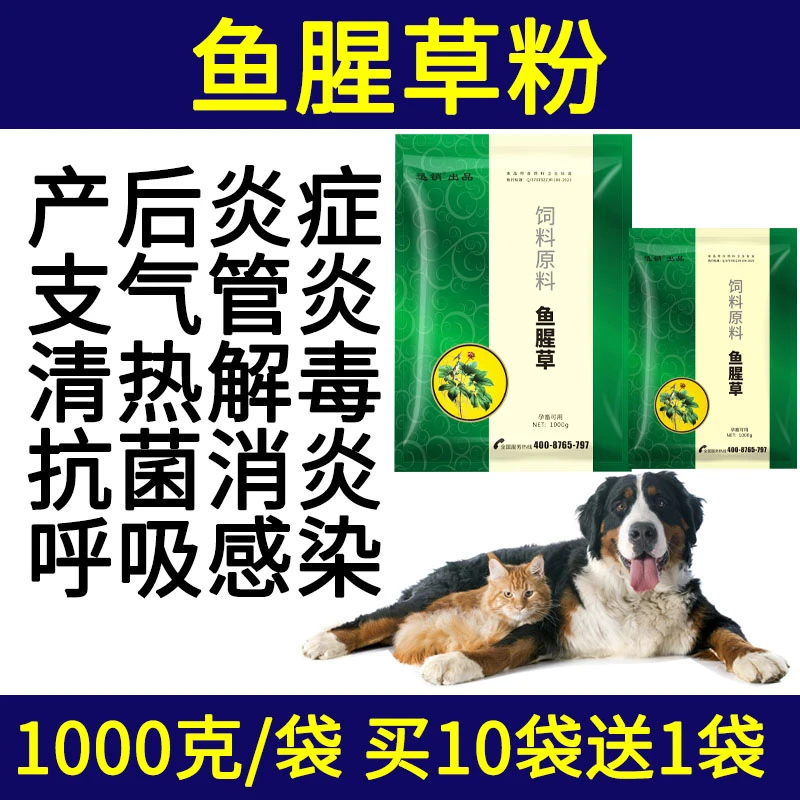 鱼腥草粉兽用抗菌消炎清热解毒利尿通淋猪牛羊鸡鸭犬呼吸道抗病毒