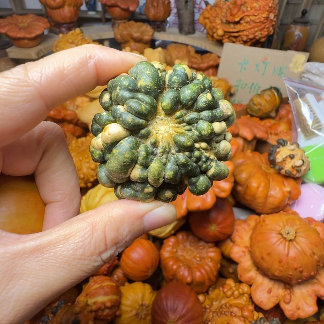 廾****特价葫芦不退不换