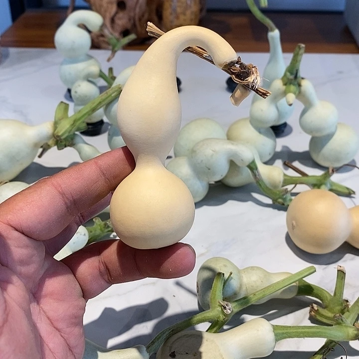 岸***精品葫芦手把葫芦20