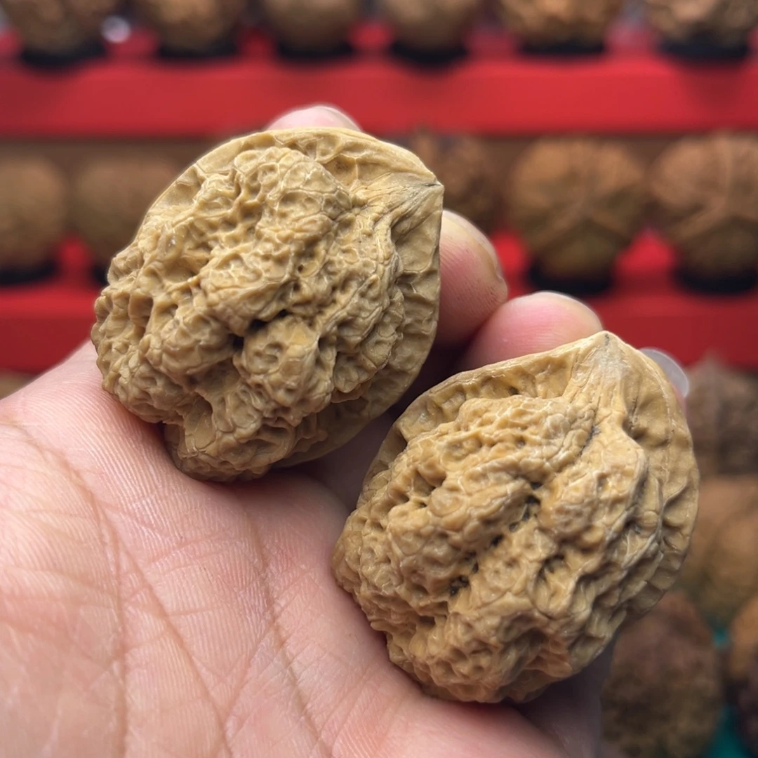 核桃9号歪嘴疙瘩包36尺