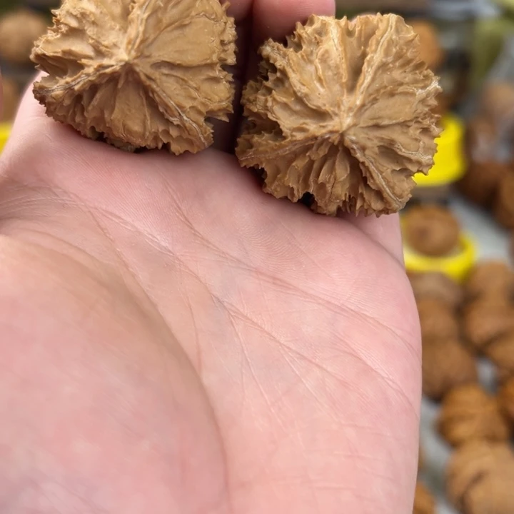 文玩核桃吊坠39尺全品无修野生灯笼奔