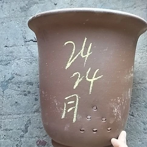 特大金钟一个花盆月