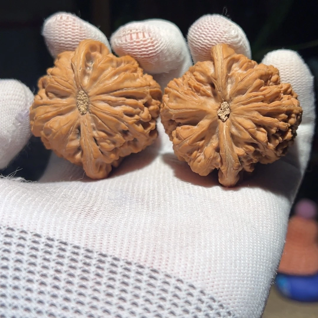 文玩核桃吊坠47粗筋