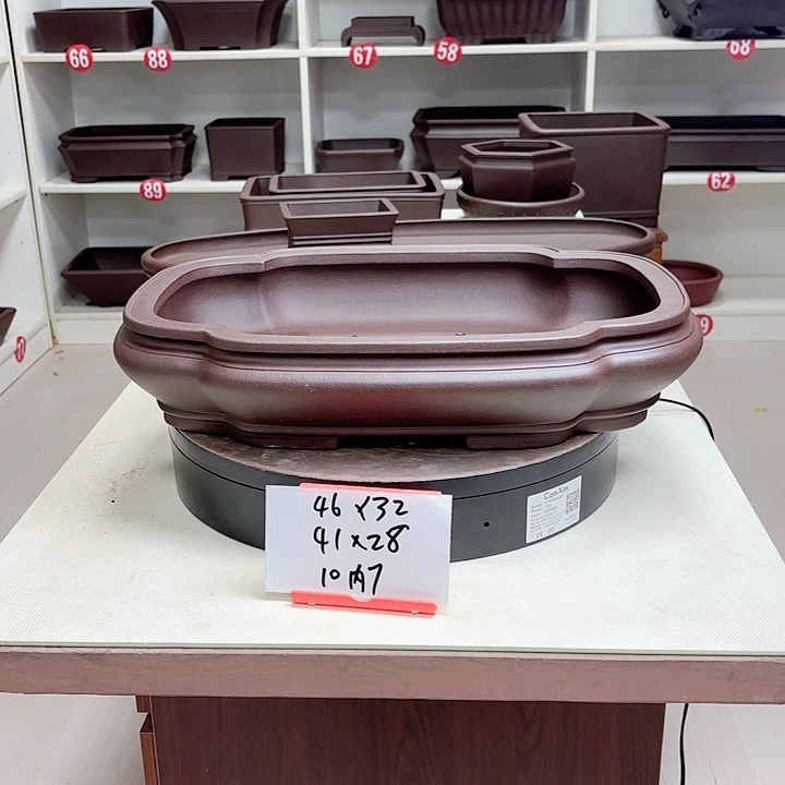紫砂花盆展**气海棠小号