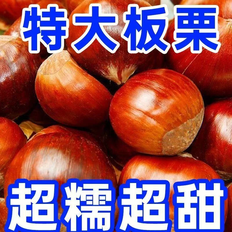 【京东包邮】好剥皮 信阳2025年高山老树板栗新鲜现摘饱满香甜脆口