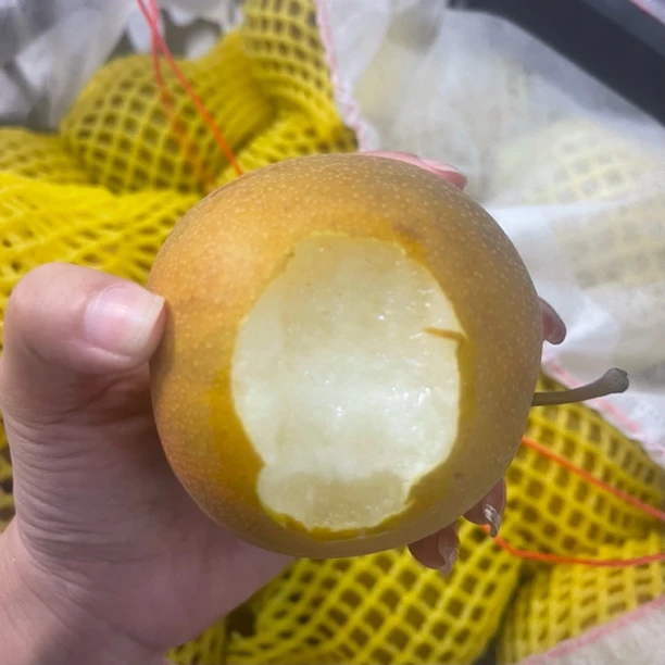 翠娥姐精选 湖北本地元黄 梨子 现摘现发