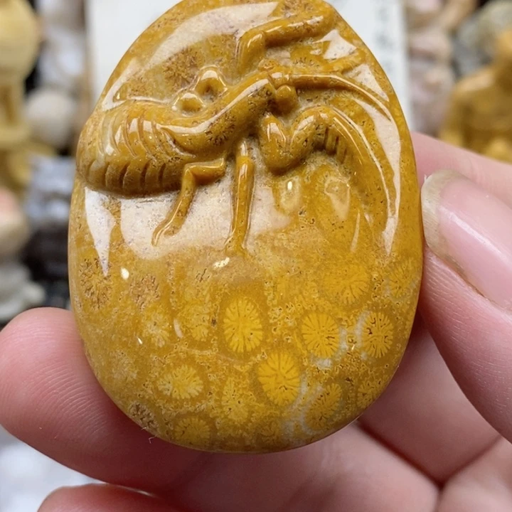 颈饰未镶嵌硅化珊瑚（珊瑚玉）