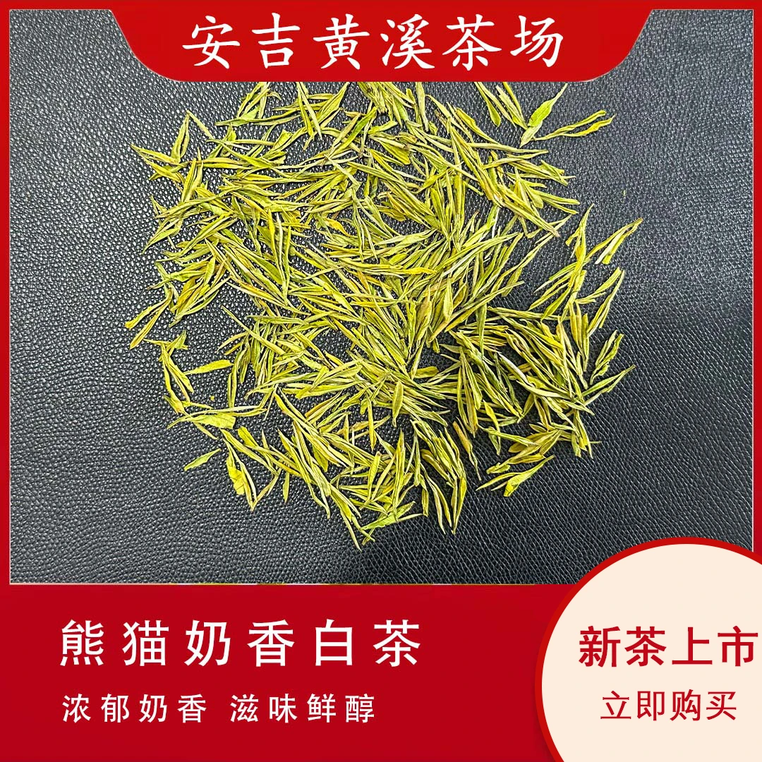 【新茶福利】高山熊猫小芽奶香白茶 级白 Z98 安吉天荒坪发货