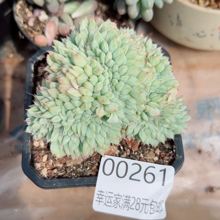 幸运的是我没有遇到过