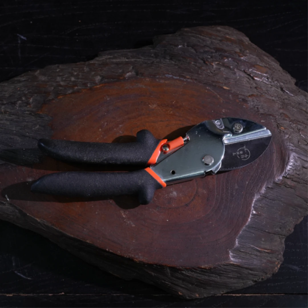 远征教插花 插花剪刀 园艺剪刀 粗枝剪