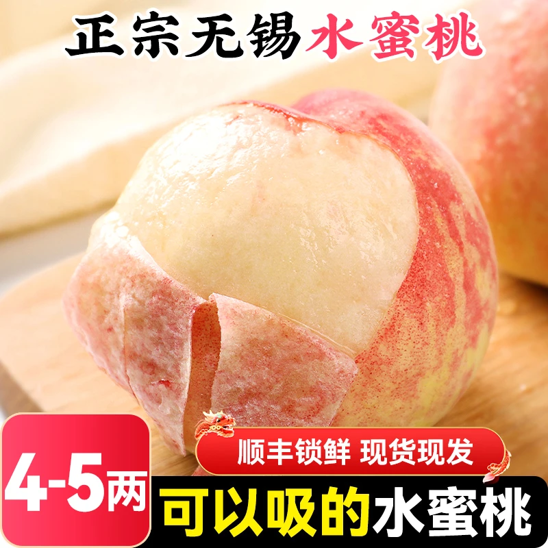 【4-5两】12个正宗无锡阳山水蜜桃山新鲜水果当季整箱应季桃子毛