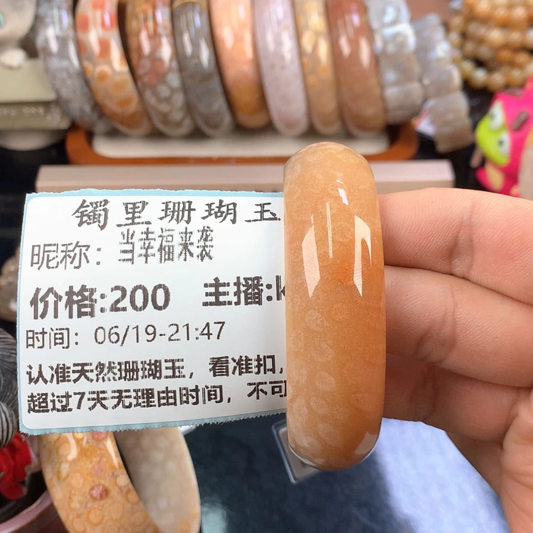 【闪购商品】硅化珊瑚（珊瑚玉）未镶嵌颈饰当***袭
