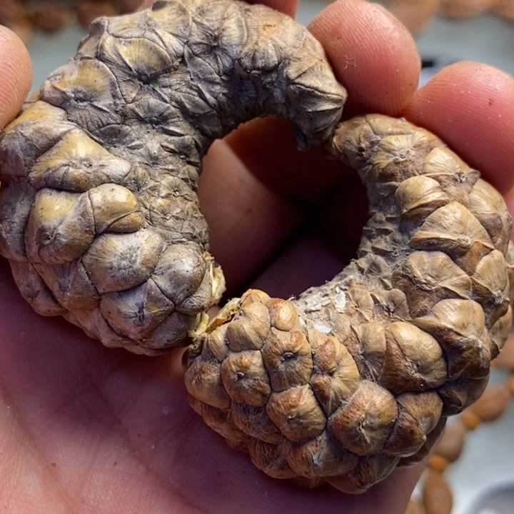 香榧木拿姐工艺流程121
