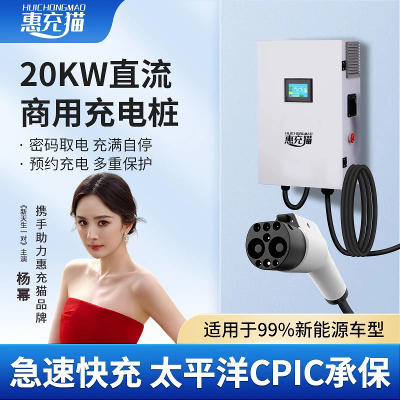 20KW直流充电桩快充桩商用家用特斯拉比亚迪充电桩源头厂家直销
